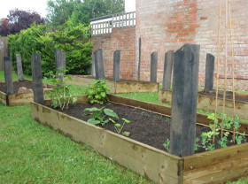 St Johns community garden